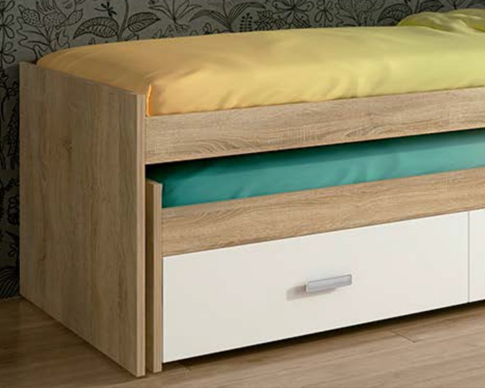 Cama compacto Champion