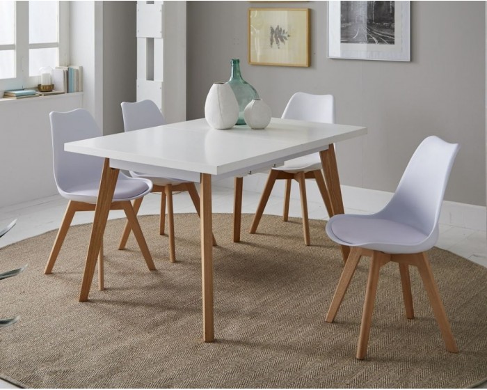 Mesa extensible Nordic HT001-B